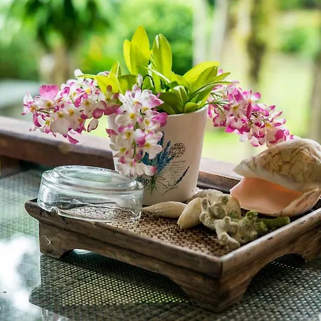 Villa Silent Palm Samui Taling Ngam Beach Esterno foto